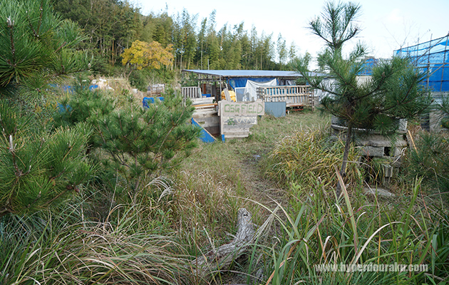中央に通じる2本のルート
