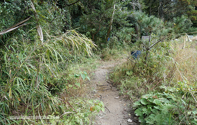 フラッグ3へ通じる裏ルート