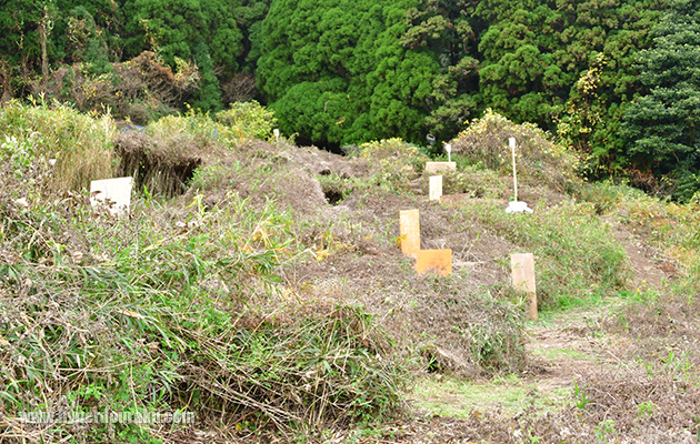 スタートポイント
