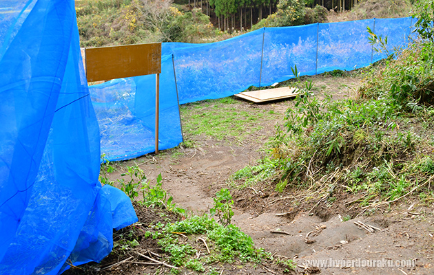 フィールド内が見渡せる