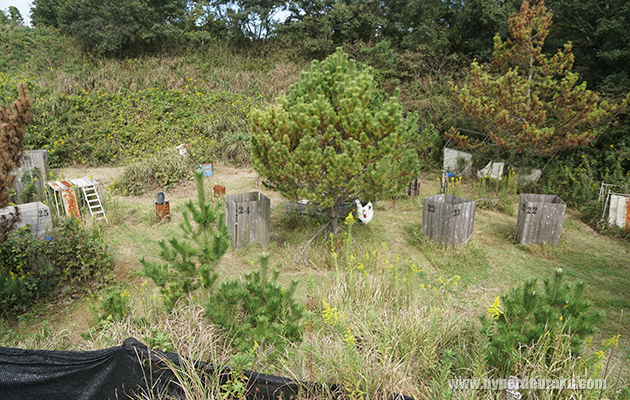 Aフラッグの周辺