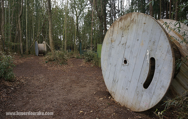 サバスは森林系