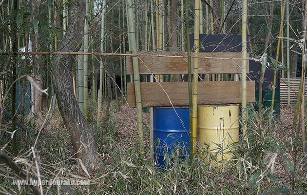 フィールドは全体的にコンパクト