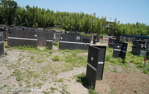 ホワイトエリア