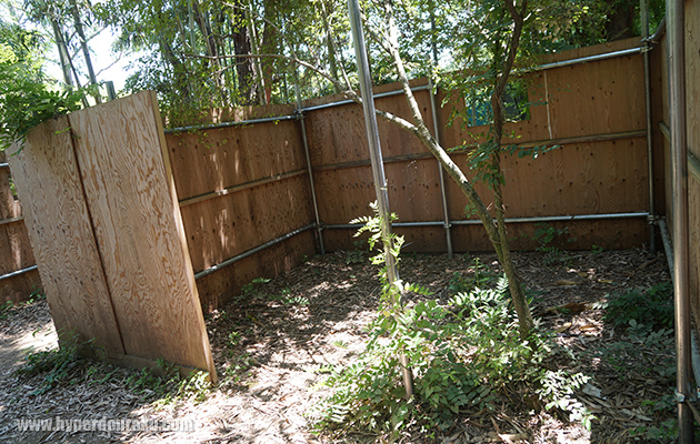 竹林の中に小屋