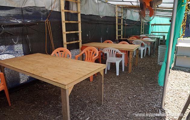 タクトレフィールド専用のセーフティエリア