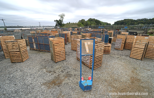 7番フラッグ付近