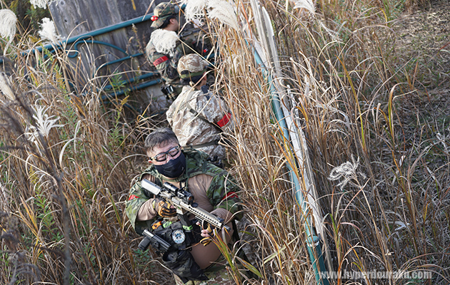 ブッシュエリア