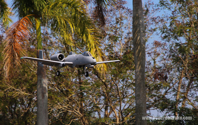 広い範囲で敵軍を行動不能に