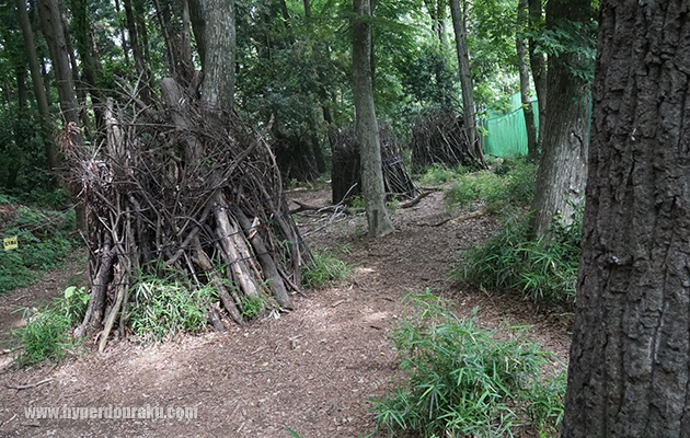 樹木に枝が巻かれている独特のバリケ