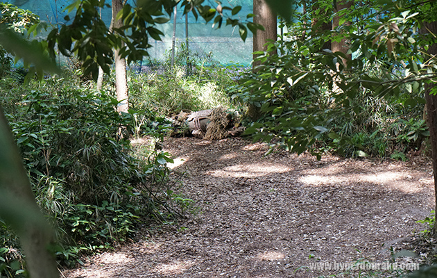 プローン(伏せ撃ち)