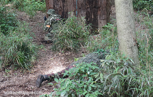 こっちでもプローン