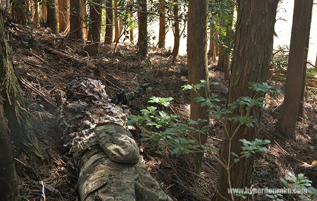 薄暗く身を隠すには十分